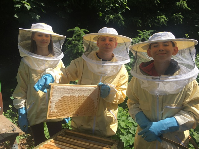 Bienen7.jpg