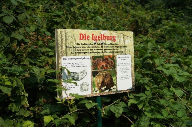 Info-Schild.jpg